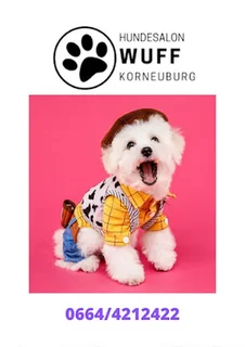 Photo Hundesalon WUFF Korneuburg